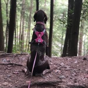 Meet your Posher, Mitchell